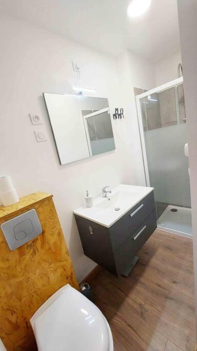 Appartements Cosy Belfort Esterno foto