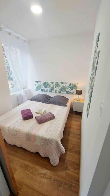 Appartements Cosy Belfort Esterno foto